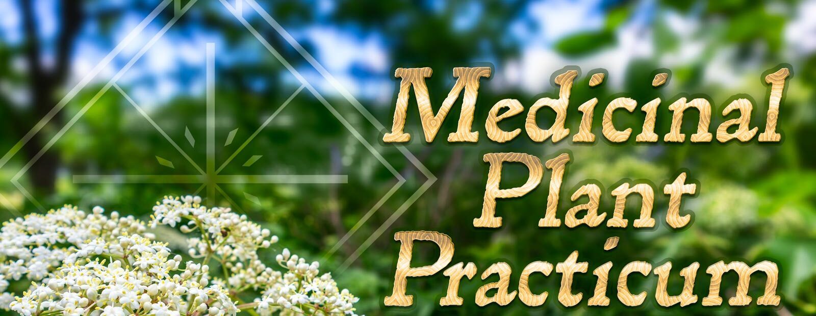 Medicinal Plant Practicum